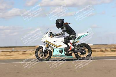 media/Nov-03-2024-TrackDaz (Sun) [[44580f4982]]/B Group/1220pm (Wheelie Bump)/